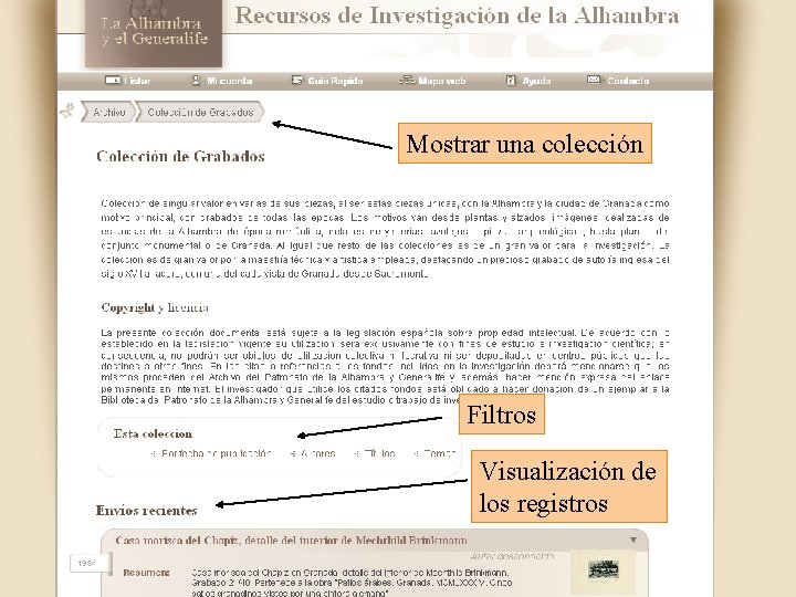 Mostrar una colección Filtros Visualización de los registros 