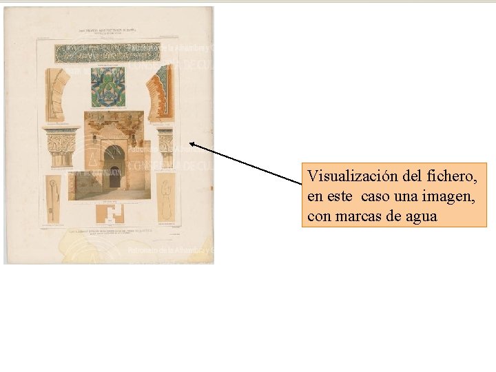 Visualización del fichero, en este caso una imagen, con marcas de agua 