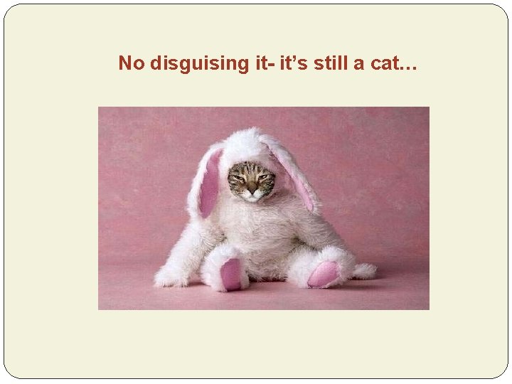 No disguising it- it’s still a cat… 