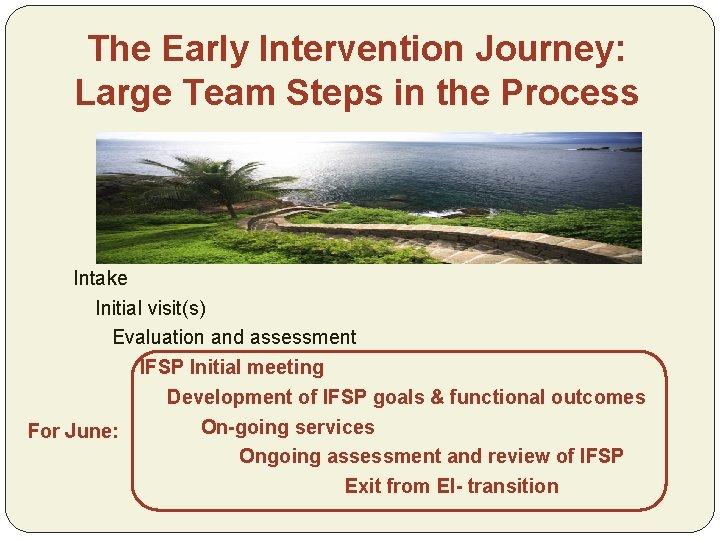 The Early Intervention Journey: Large Team Steps in the Process Intake Initial visit(s) Evaluation