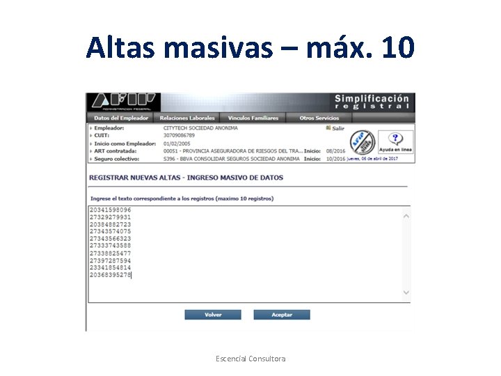 Altas masivas – máx. 10 Escencial Consultora 