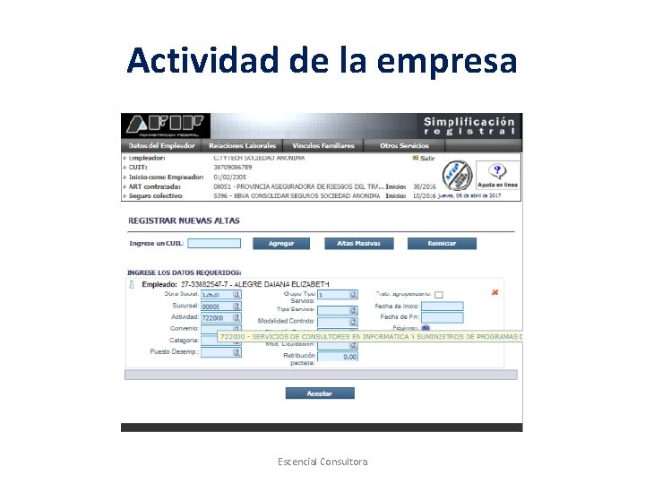 Actividad de la empresa Escencial Consultora 