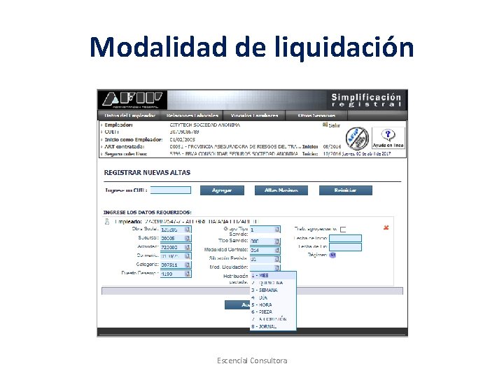 Modalidad de liquidación Escencial Consultora 