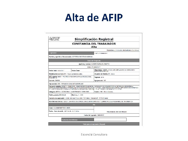 Alta de AFIP Escencial Consultora 