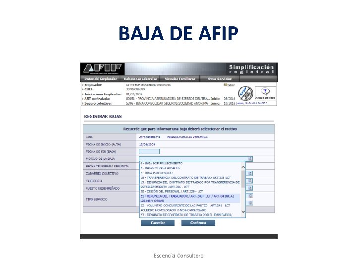 BAJA DE AFIP Escencial Consultora 