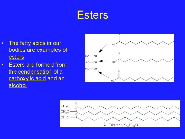 Esters • The fatty acids in our bodies are examples of esters • Esters