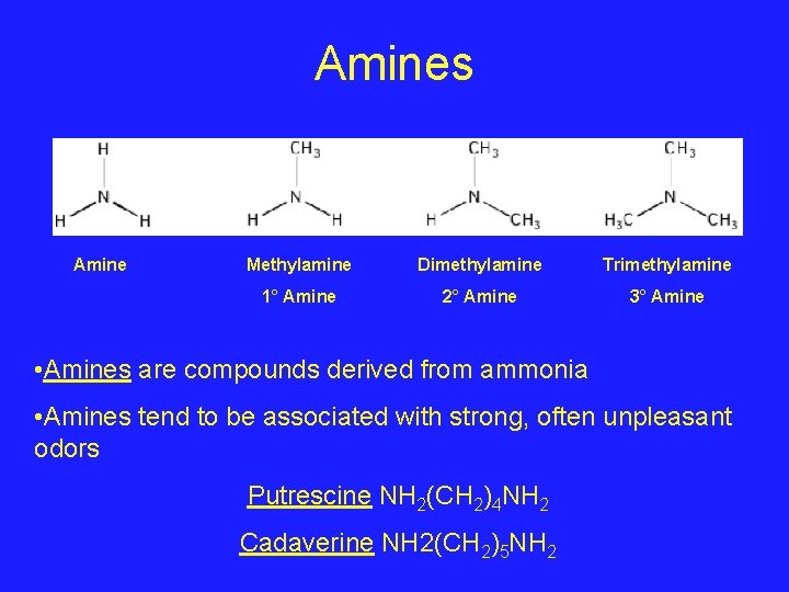 Amines Amine Methylamine Dimethylamine Trimethylamine 1° Amine 2° Amine 3° Amine • Amines are