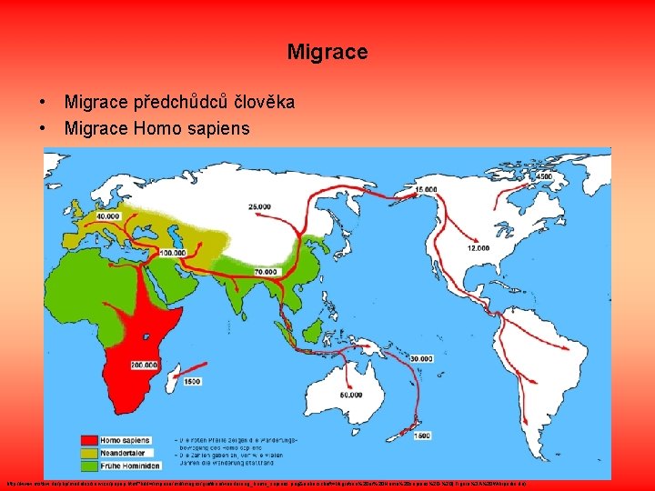 Migrace • Migrace předchůdců člověka • Migrace Homo sapiens http: //www. mstbw. de/php/modules/service/popup. html?