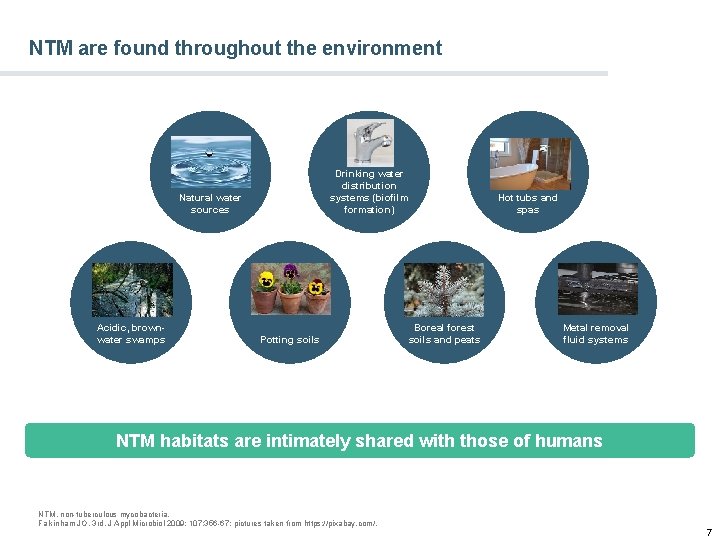 NTM are found throughout the environment Drinking water distribution systems (biofilm formation) Natural water