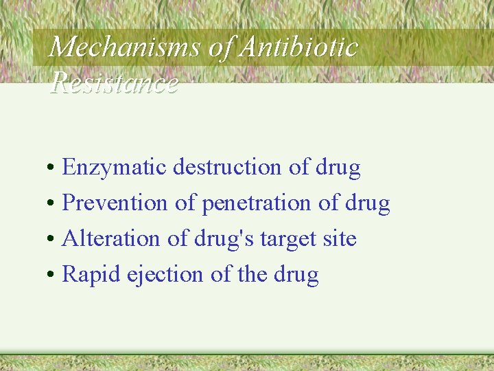 Mechanisms of Antibiotic Resistance • Enzymatic destruction of drug • Prevention of penetration of