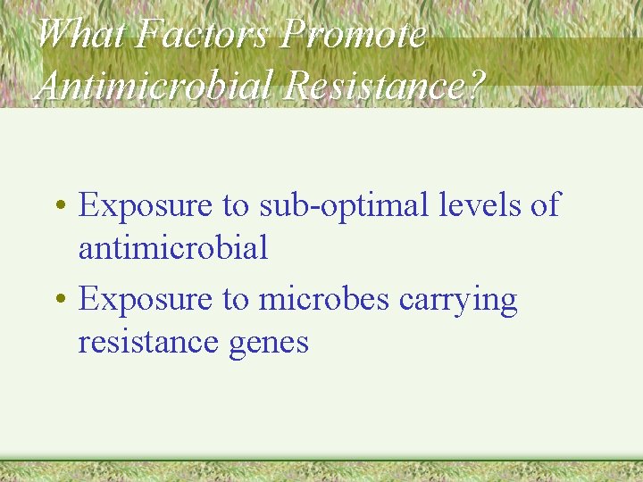 What Factors Promote Antimicrobial Resistance? • Exposure to sub-optimal levels of antimicrobial • Exposure