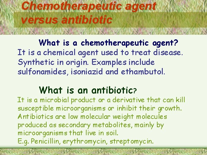 Chemotherapeutic agent versus antibiotic What is a chemotherapeutic agent? It is a chemical agent