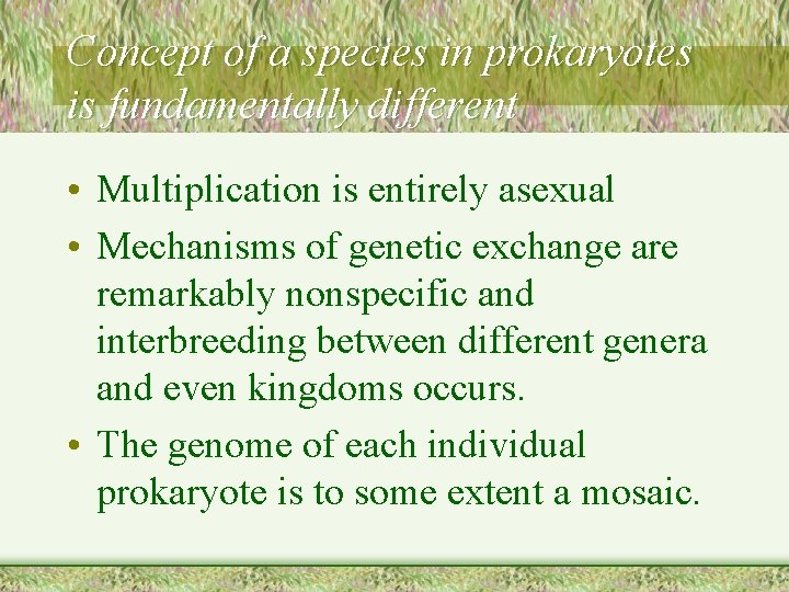 Concept of a species in prokaryotes is fundamentally different • Multiplication is entirely asexual