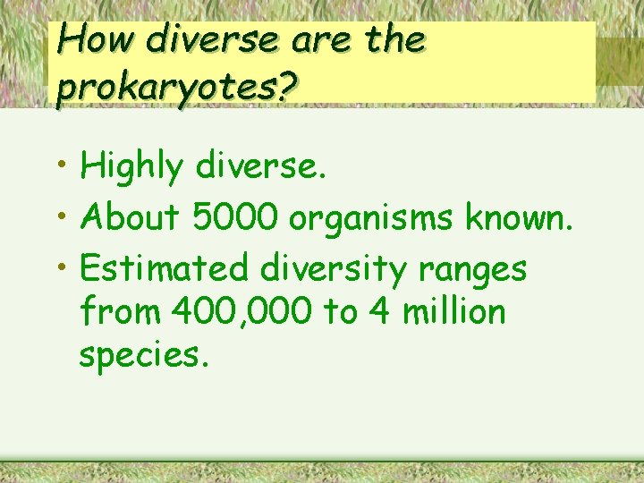 How diverse are the prokaryotes? • Highly diverse. • About 5000 organisms known. •