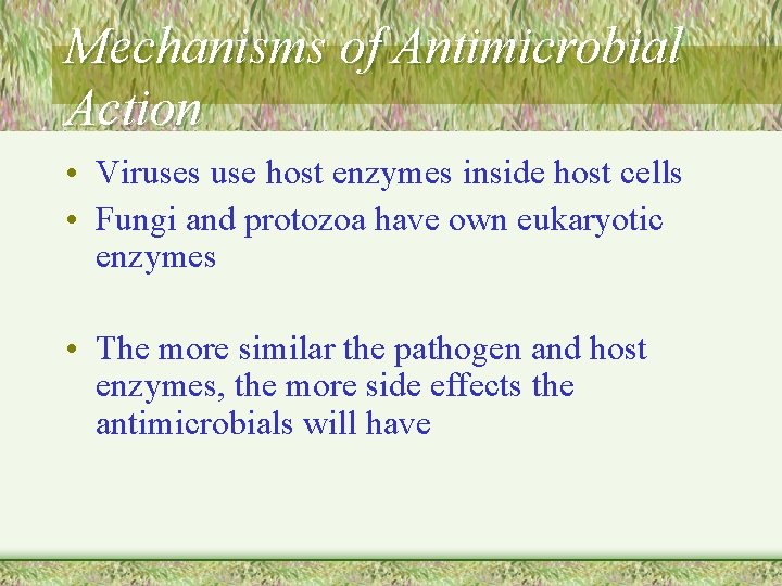 Mechanisms of Antimicrobial Action • Viruses use host enzymes inside host cells • Fungi