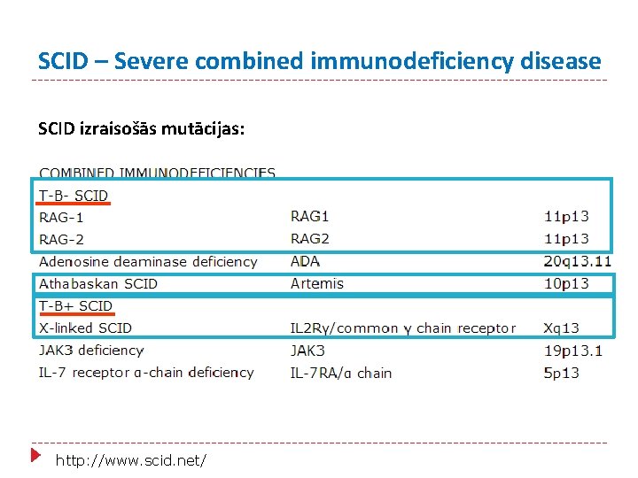 SCID – Severe combined immunodeficiency disease SCID izraisošās mutācijas: http: //www. scid. net/ 