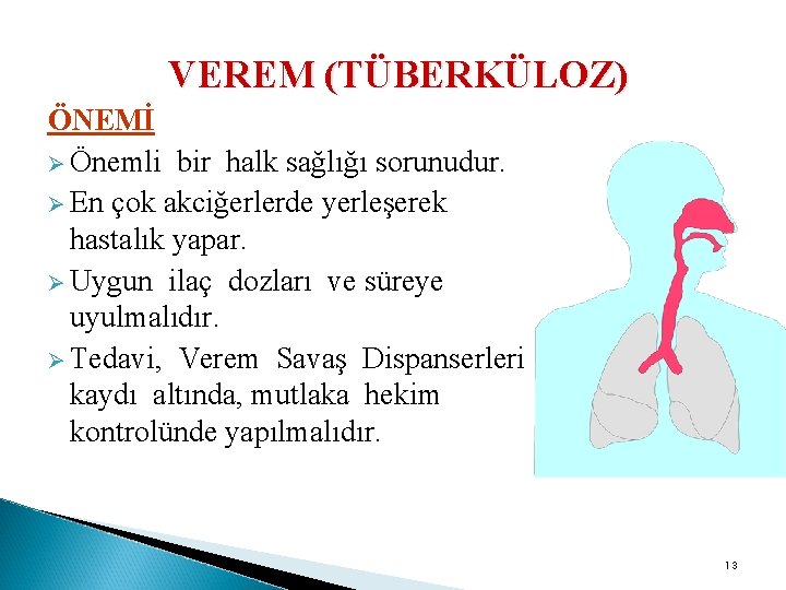 VEREM (TÜBERKÜLOZ) ÖNEMİ Ø Önemli bir halk sağlığı sorunudur. Ø En çok akciğerlerde yerleşerek