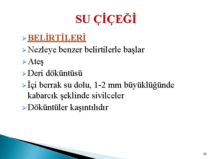 SU ÇİÇEĞİ Ø BELİRTİLERİ Ø Nezleye benzer belirtilerle başlar Ø Ateş Ø Deri döküntüsü