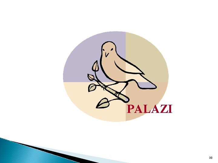 PALAZI 38 