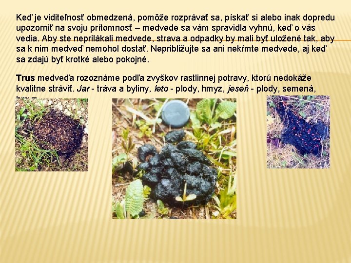 Keď je viditeľnosť obmedzená, pomôže rozprávať sa, pískať si alebo inak dopredu upozorniť na