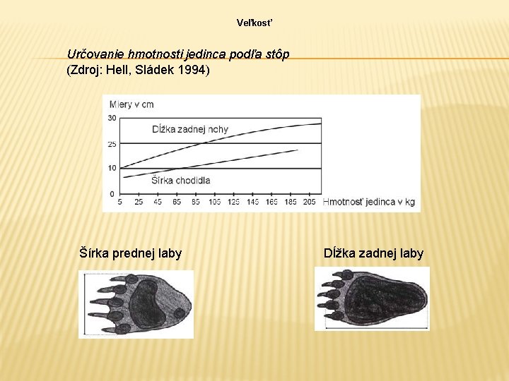 Veľkosť Určovanie hmotnosti jedinca podľa stôp (Zdroj: Hell, Sládek 1994) Šírka prednej laby Dĺžka