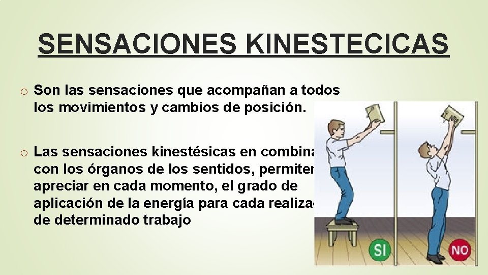 SENSACIONES KINESTECICAS o Son las sensaciones que acompañan a todos los movimientos y cambios