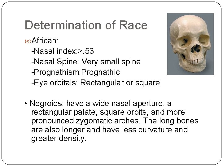 Determination of Race African: -Nasal index: >. 53 -Nasal Spine: Very small spine -Prognathism: Determination of Race African: -Nasal index: >. 53 -Nasal Spine: Very small spine -Prognathism: