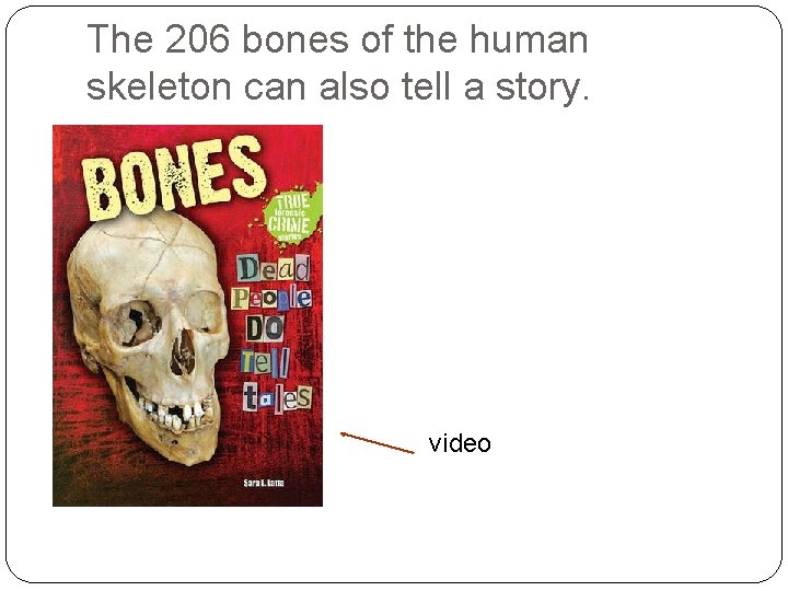 The 206 bones of the human skeleton can also tell a story. video The 206 bones of the human skeleton can also tell a story. video