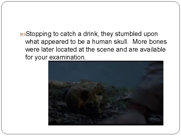 Stopping to catch a drink, they stumbled upon what appeared to be a Stopping to catch a drink, they stumbled upon what appeared to be a