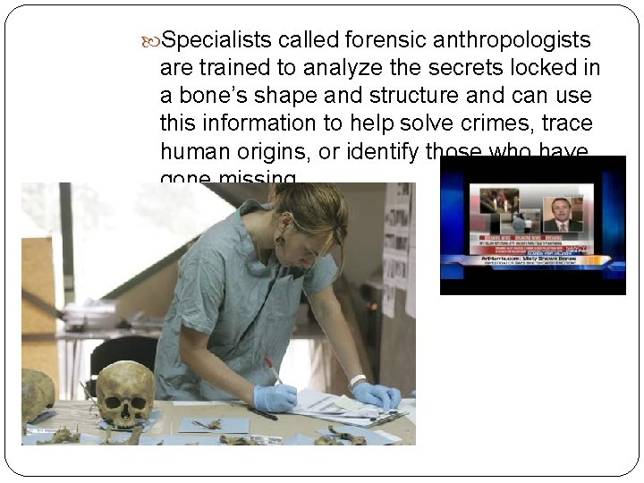Specialists called forensic anthropologists are trained to analyze the secrets locked in a Specialists called forensic anthropologists are trained to analyze the secrets locked in a