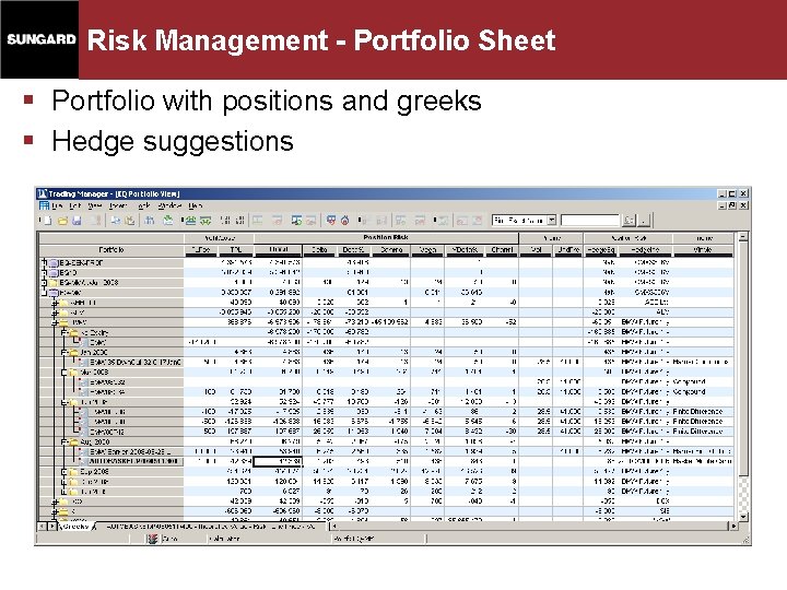Risk Management - Portfolio Sheet § Portfolio with positions and greeks § Hedge suggestions