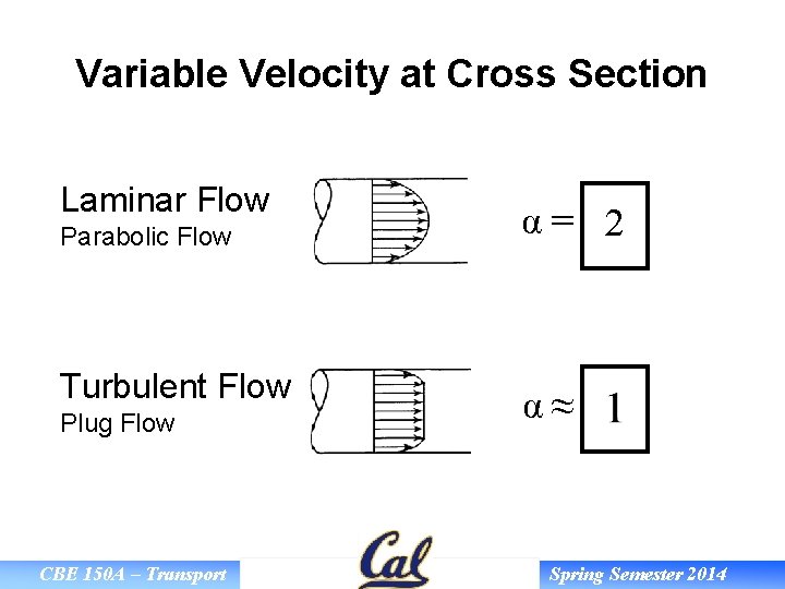 Variable Velocity at Cross Section Laminar Flow Parabolic Flow Turbulent Flow Plug Flow CBE