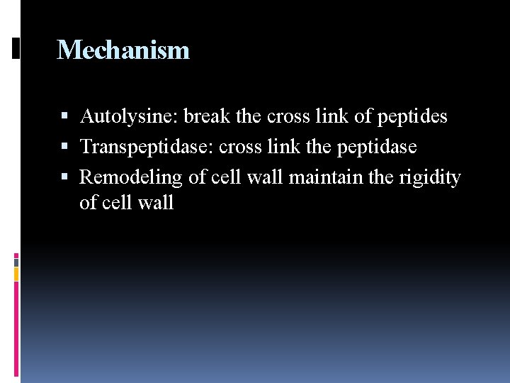 Mechanism Autolysine: break the cross link of peptides Transpeptidase: cross link the peptidase Remodeling