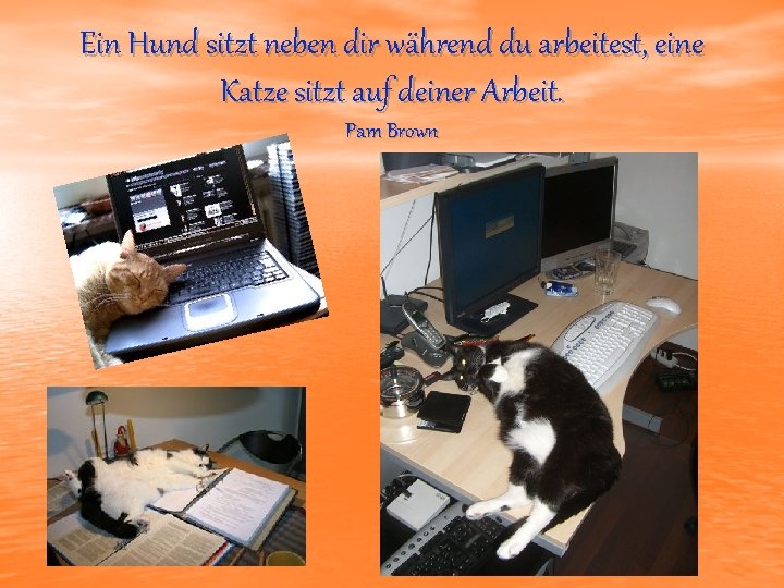 Ein Hund sitzt neben dir während du arbeitest, eine Katze sitzt auf deiner Arbeit.