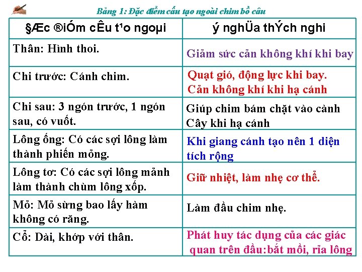 Bảng 1: Đặc điểm cấu tạo ngoài chim bồ câu §Æc ®iÓm cÊu t¹o