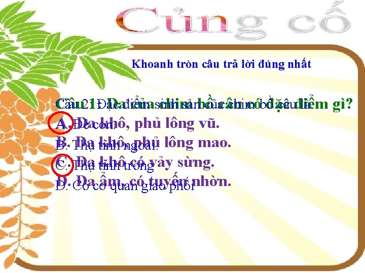 TIẾT 44: LỚP CHIM-CHIM BỒ C U Khoanh tròn câu trả lời đúng nhất