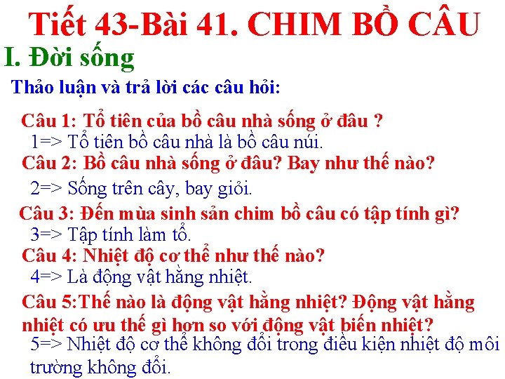 Tiết 43 -Bài 41. CHIM BỒ C U I. Đời sống Thảo luận và