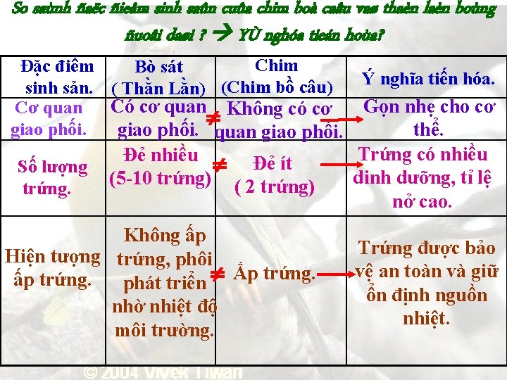 So saùnh ñaëc ñieåm sinh saûn cuûa chim boà caâu vaø thaèn laèn boùng