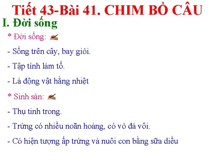 Tiết 43 -Bài 41. CHIM BỒ C U I. Đời sống * Đời sống:
