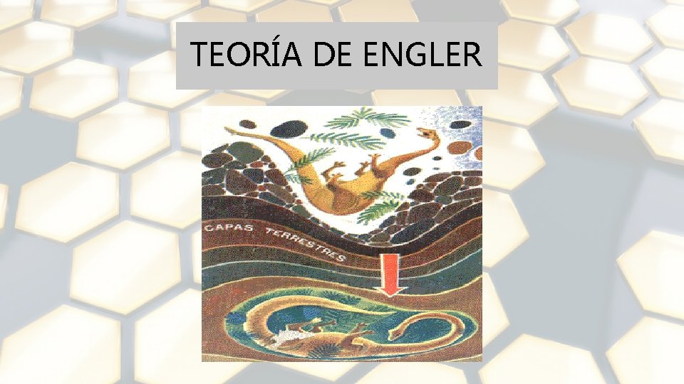 TEORÍA DE ENGLER 