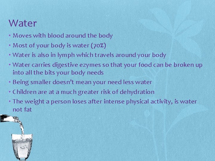Water • Moves with blood around the body • Most of your body is