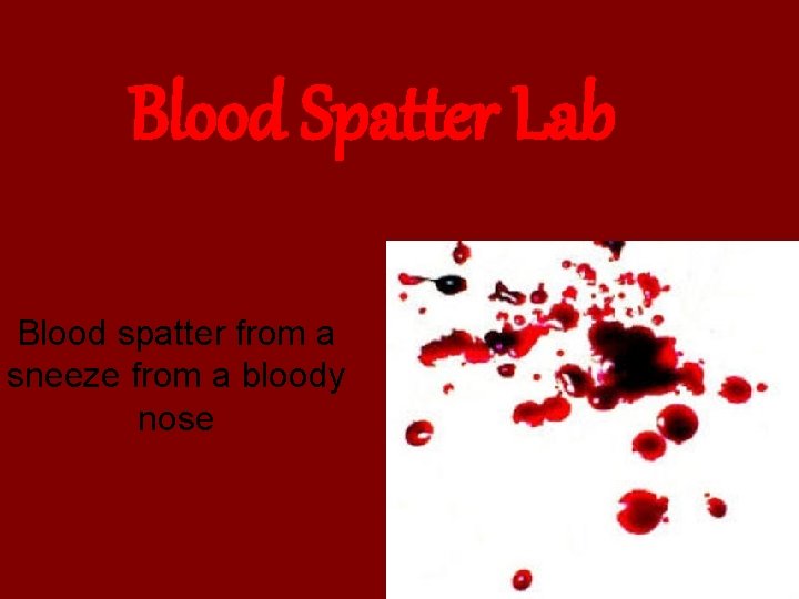 Blood Spatter Lab Blood spatter from a sneeze from a bloody nose 