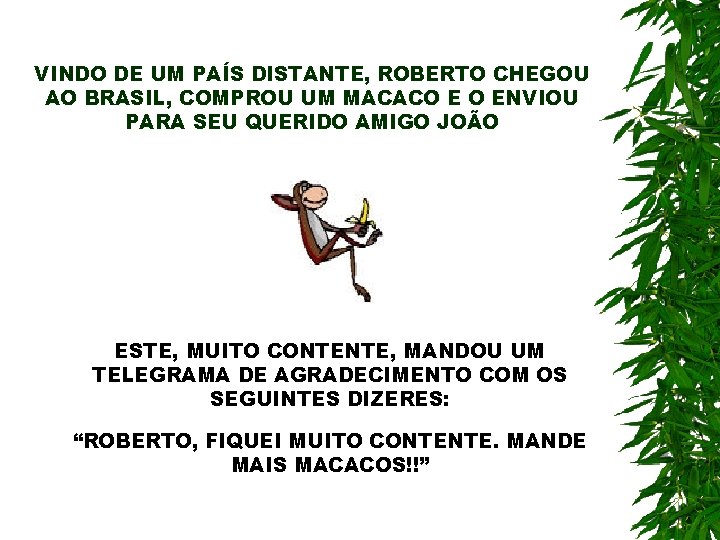 VINDO DE UM PAÍS DISTANTE, ROBERTO CHEGOU AO BRASIL, COMPROU UM MACACO E O