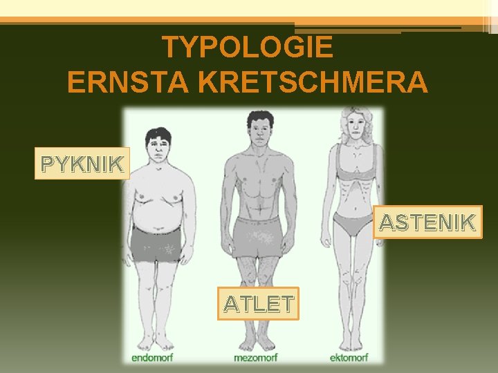 TYPOLOGIE ERNSTA KRETSCHMERA PYKNIK ASTENIK ATLET 