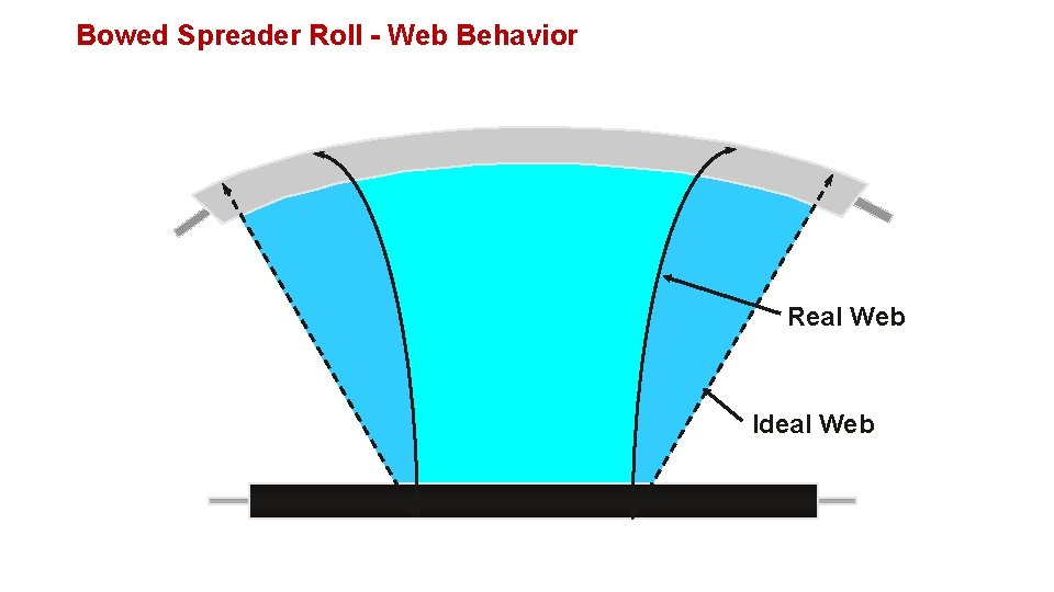 Bowed Spreader Roll - Web Behavior Real Web Ideal Web 