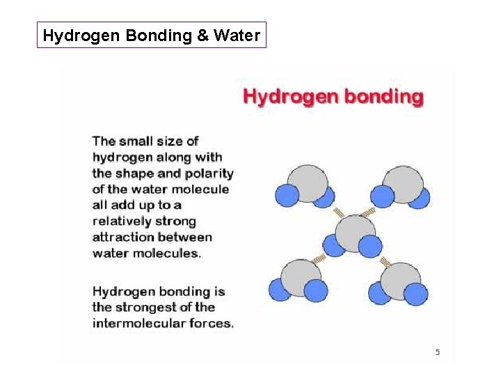 Hydrogen Bonding & Water 