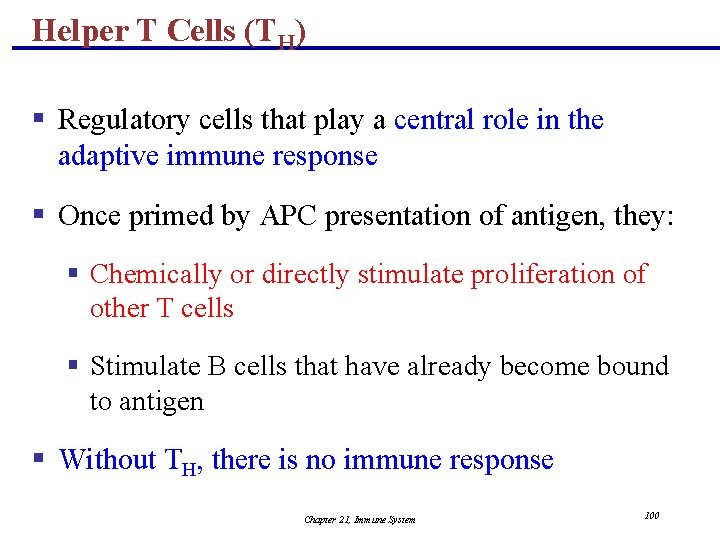 Helper T Cells (TH) § Regulatory cells that play a central role in the