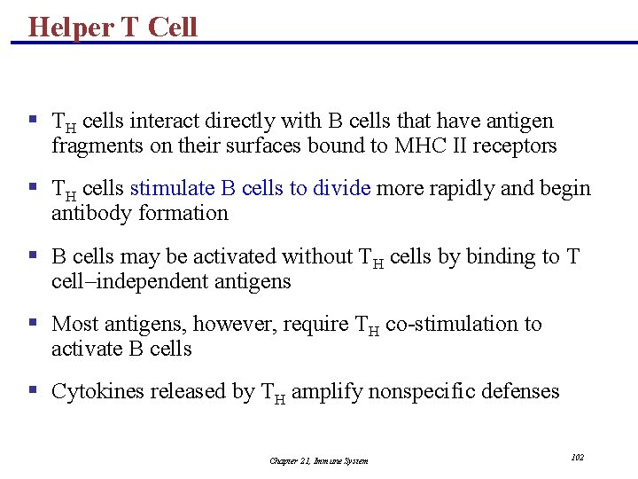 Helper T Cell § TH cells interact directly with B cells that have antigen