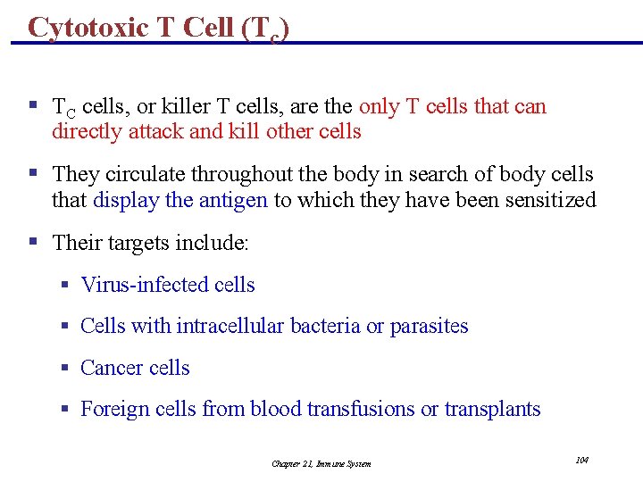 Cytotoxic T Cell (Tc) § TC cells, or killer T cells, are the only