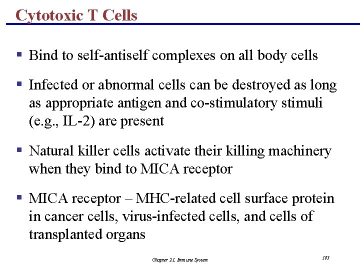 Cytotoxic T Cells § Bind to self-antiself complexes on all body cells § Infected